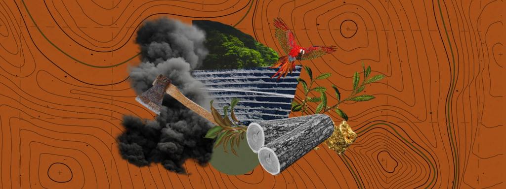 Las raíces de los delitos ambientales en la Amazonía peruana