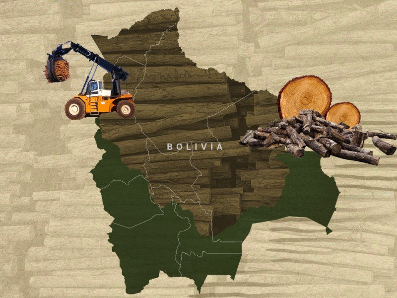 Protected Areas: Illegal Timber Strongholds in the Bolivian Amazon