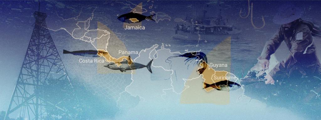 El saqueo de los océanos: pesca ilegal en aguas de Centroamérica y el Caribe