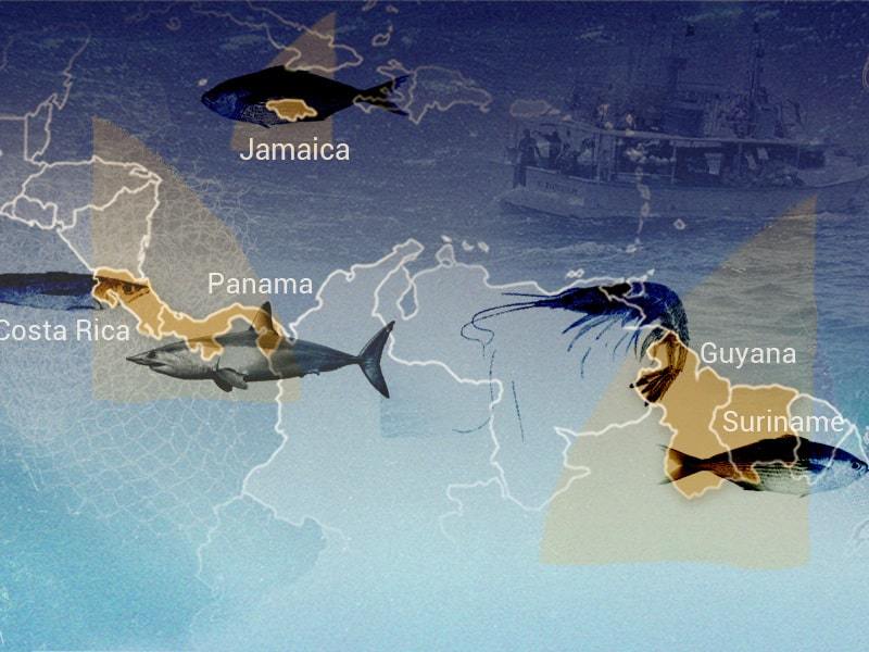 Plundered Oceans: IUU Fishing in Central American and Caribbean Waters