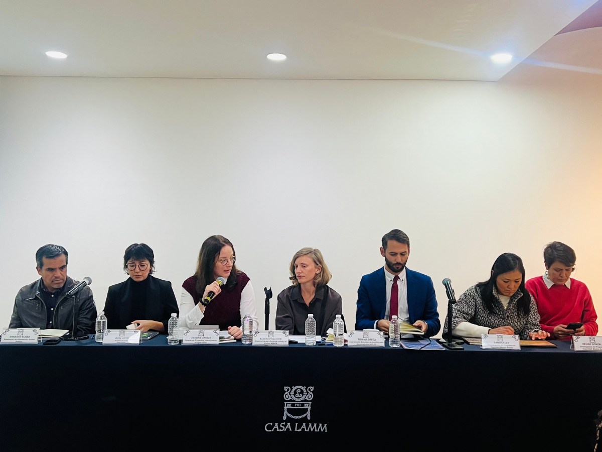 InSight Crime Investigator Moderates Conference on Electoral Violence in Mexico